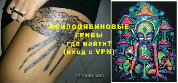 PSILOCYBIN Бронницы