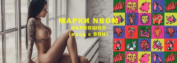 PSILOCYBIN Бронницы
