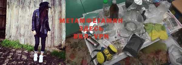 PSILOCYBIN Бронницы